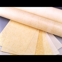 Thermoplastic Sheets - Hot Melt Sheet & Chemical Sheets